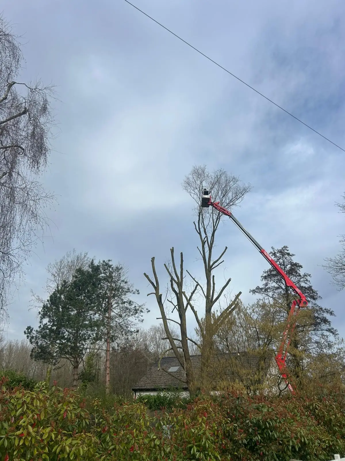 Elagage d'arbres Arras